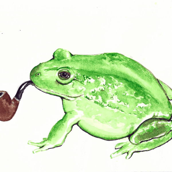 Smoking Frog Print