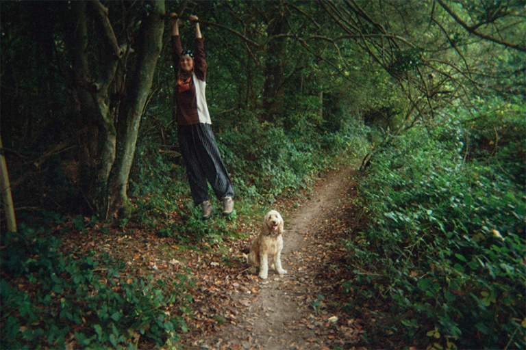 hangingtree